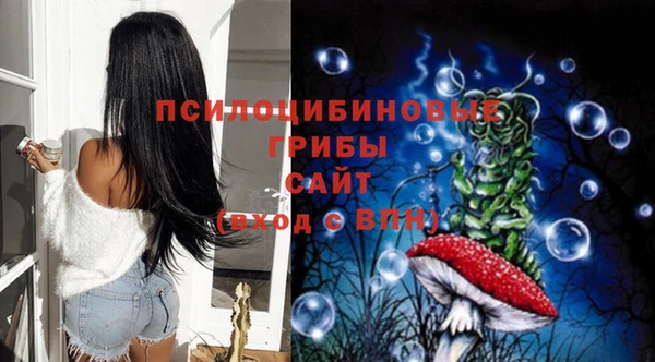 крисы Алексин